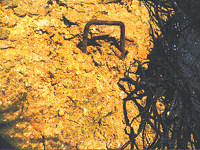 Rusting pin in ground